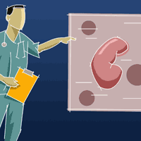 Meet the Kidney Matchmaker