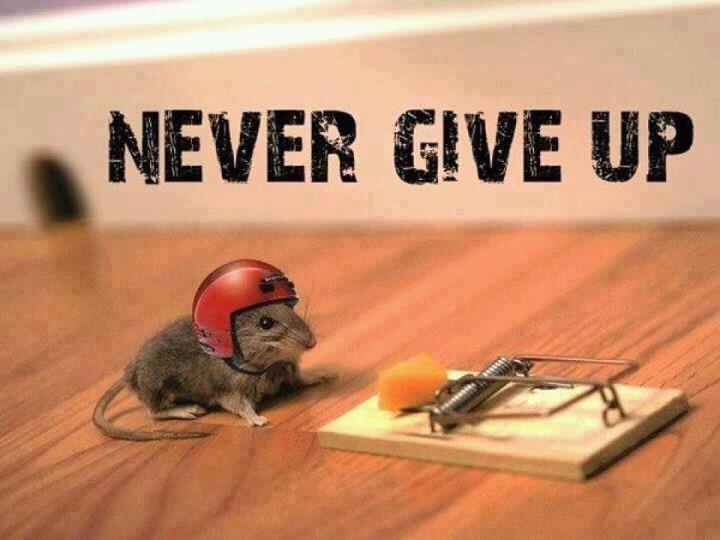 Vayelech: Never Give Up!