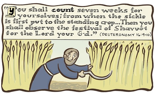 Shavuot: Countdown