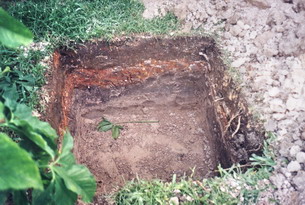 Masechet Bava Kamma 5a-11b