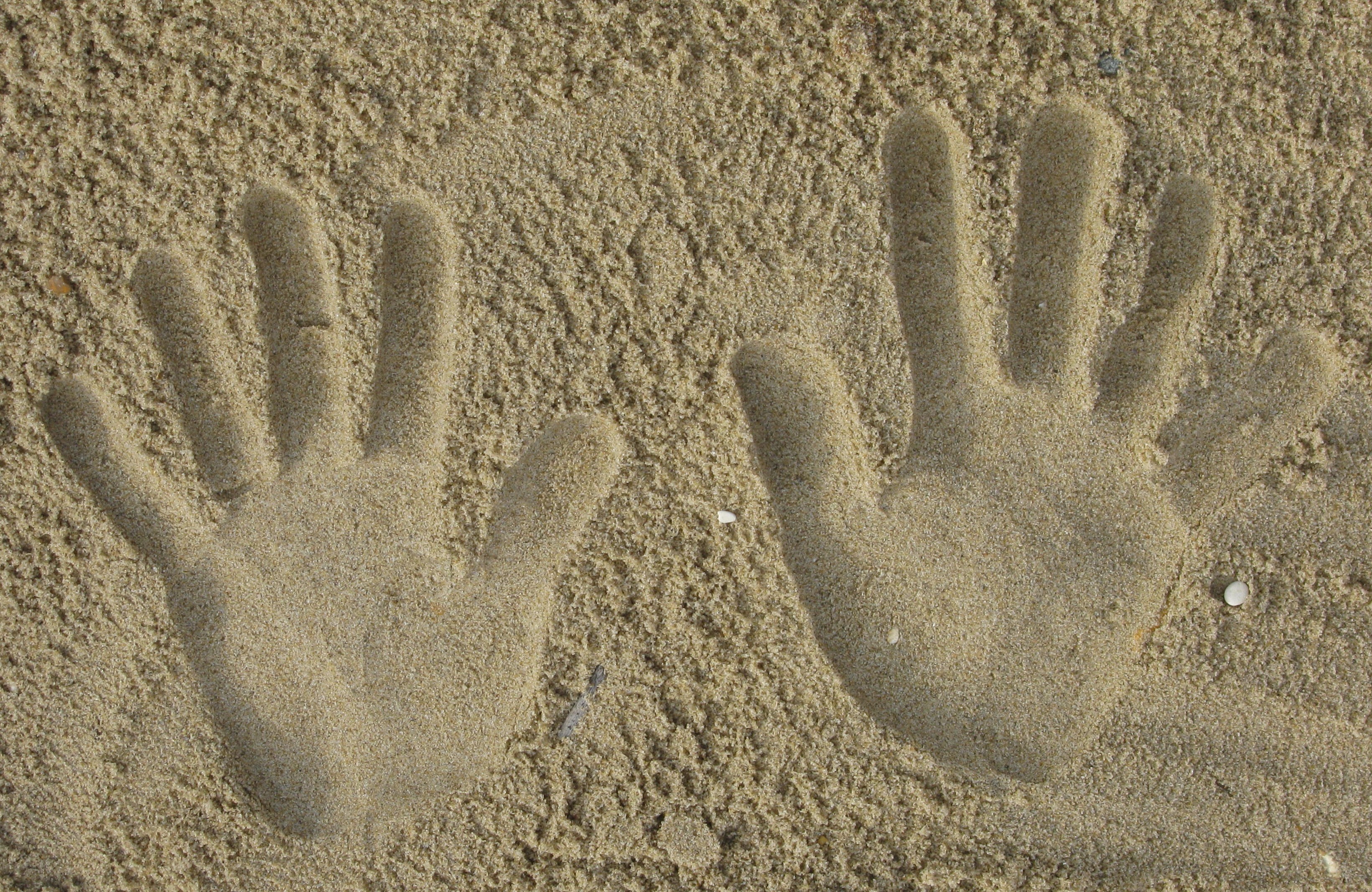 Noach: Unleashing the Power of Memory