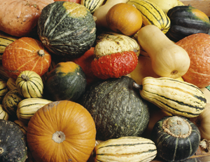 Stuff Those Squashes