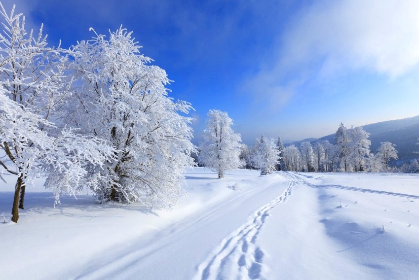 It’s Winter Again: How to Stay in Shape