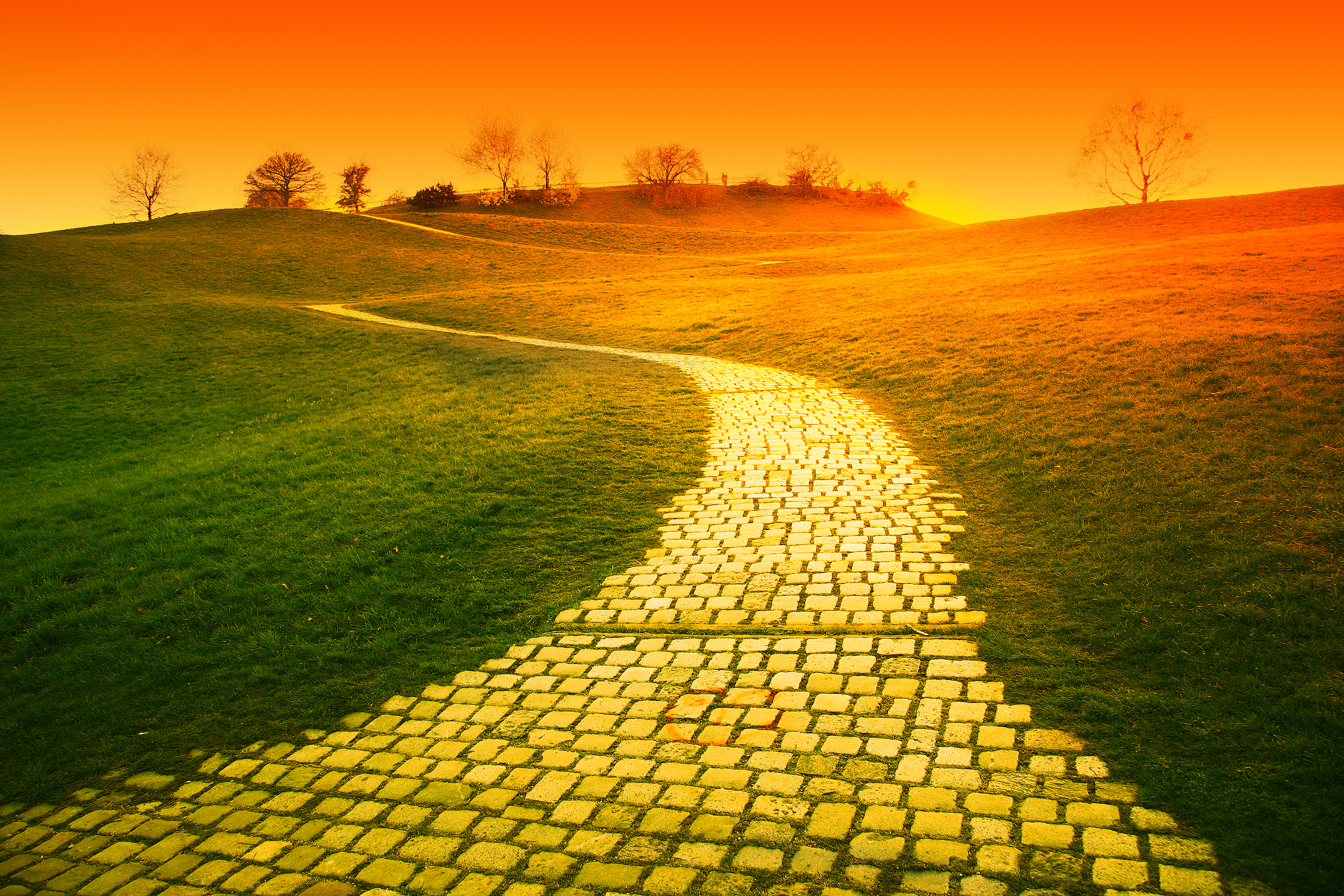 Eliana Sohn: Following Her Own Yellow Brick Road