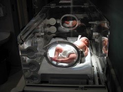 A Gift Called “Reizy”