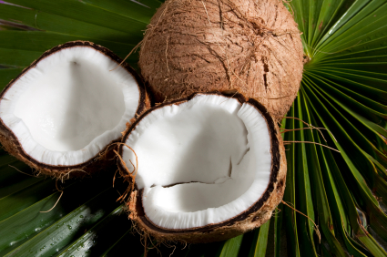 Coconut