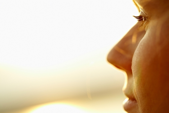 Celebrating Thanksgiving Each & Every Day