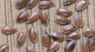Flax Effect! Flax Seeds: The New Wonder Food
