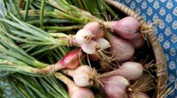 Savory Shallots