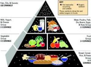 foodpyramid
