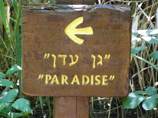 Parashat Toldot: Antagonists and Protagonists, Fathers and Sons