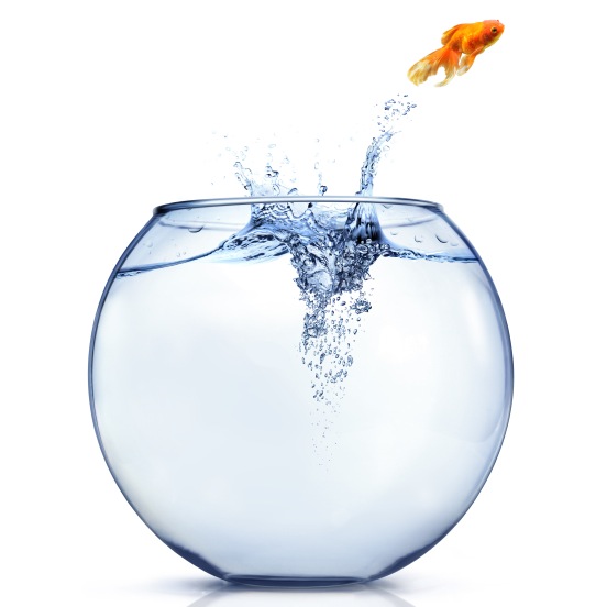 The Need For Autonomy