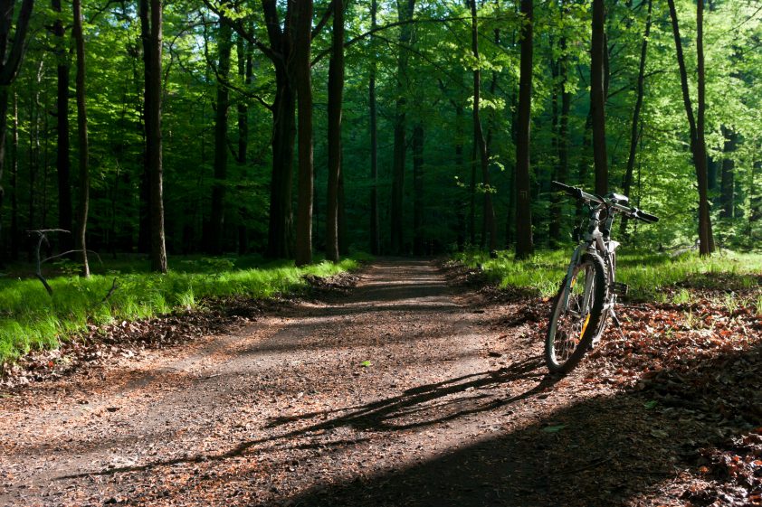 Why Are Our Teens Going Off the <em>Derech</em>?