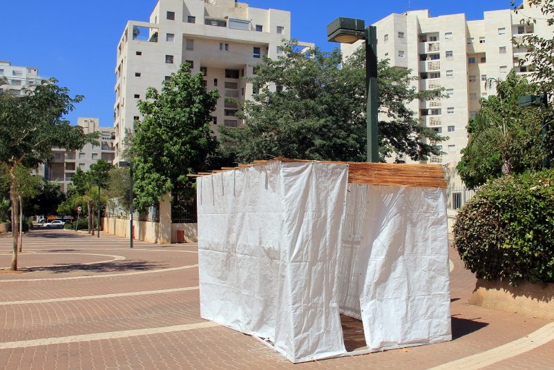 Sukkot: Keeping the Big Picture in Mind