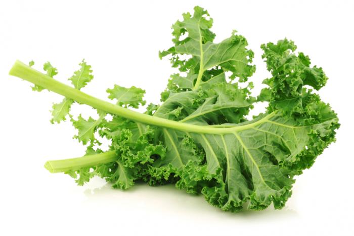 Slice of Life: Kale