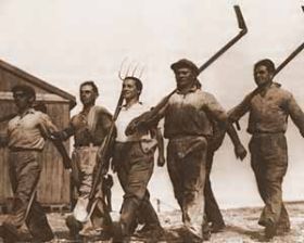 Summer in Kibbutz: A First Meeting with the Land