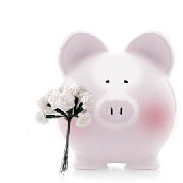 Don’t Animalize Me!