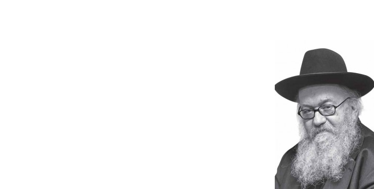 The Super Mashgiach: Rabbi Chaim Goldzweig