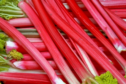 Rhubarb: The Diet Essential