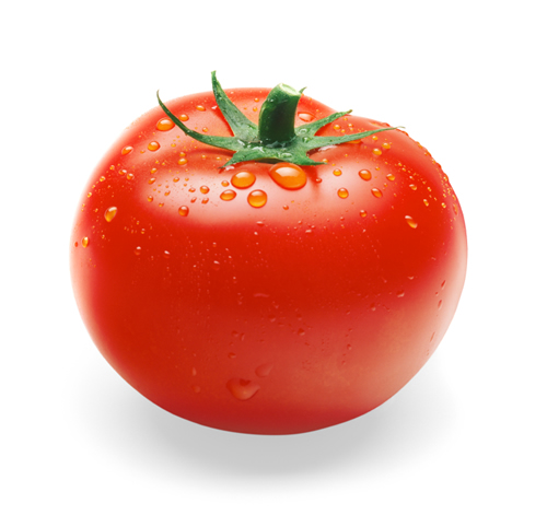 You Say Tomato, I Say Tomato: Recipes From Garden to Table