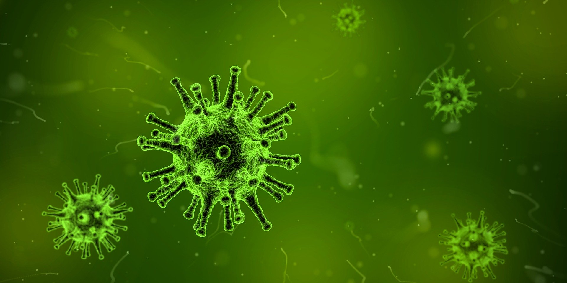 Coronavirus – Everything You Need to Know and Then Some